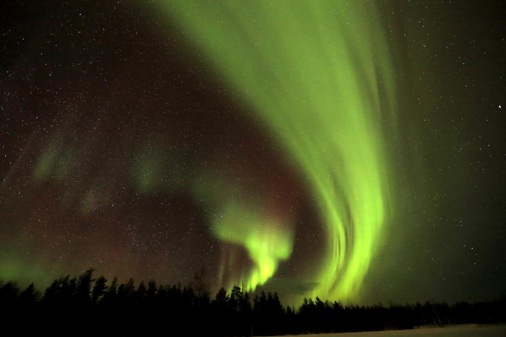 Lapland Northern Lights Ilveslinna Ranua