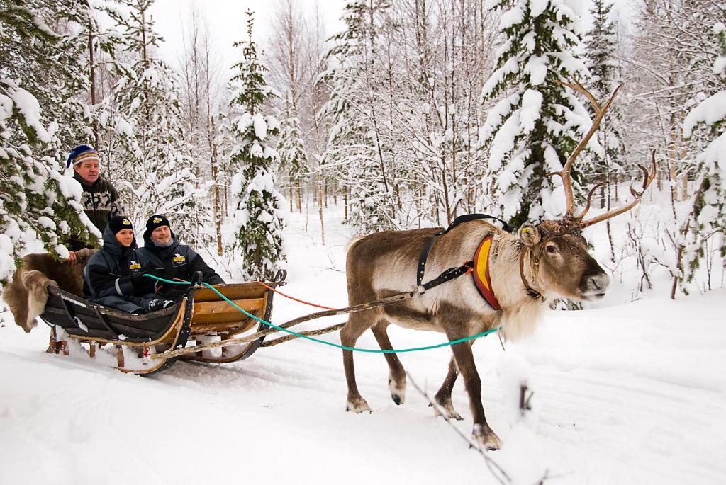 Lapland Northern Lights Ilveslinna 3* Ranua
