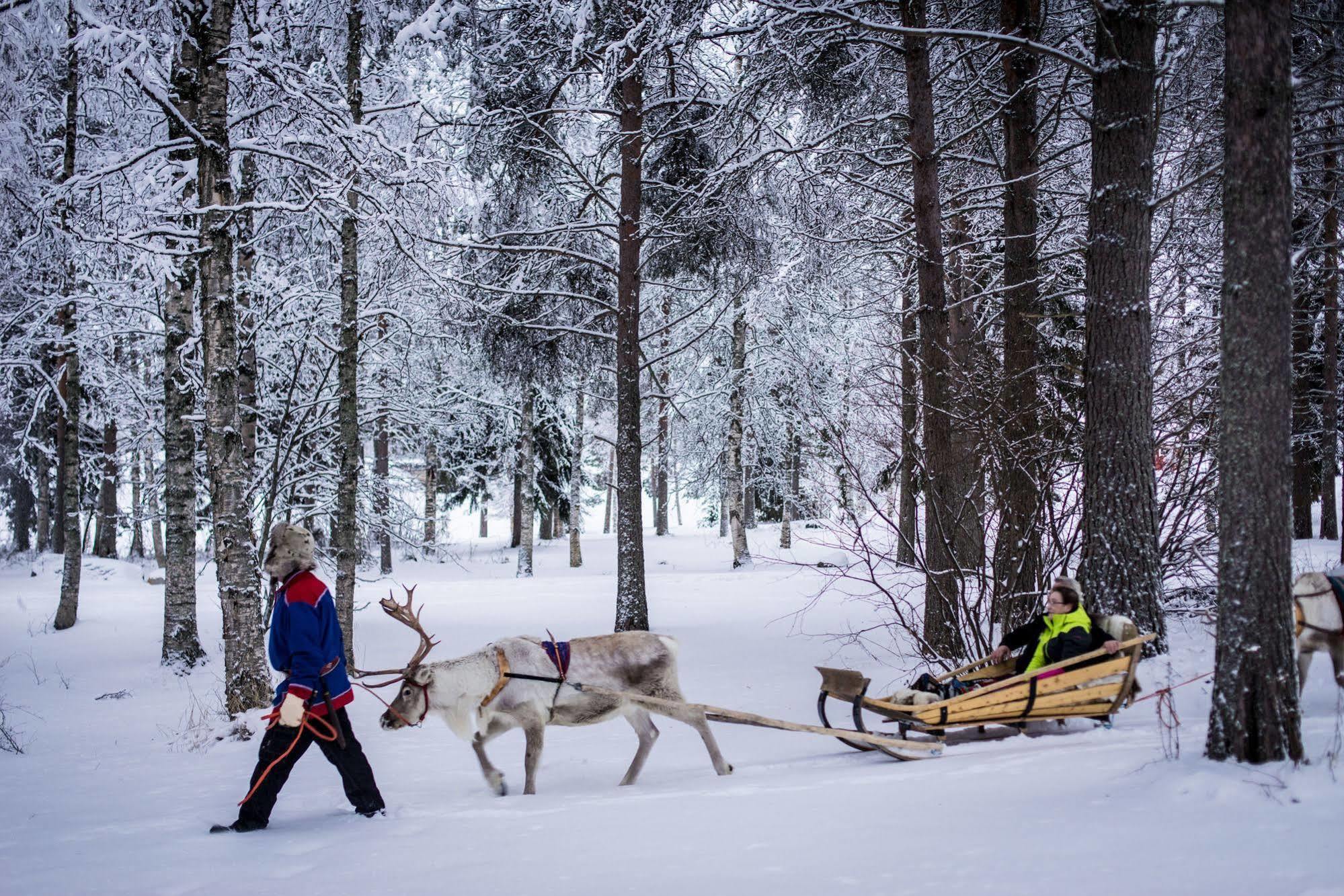Lapland Northern Lights Ilveslinna Ranua